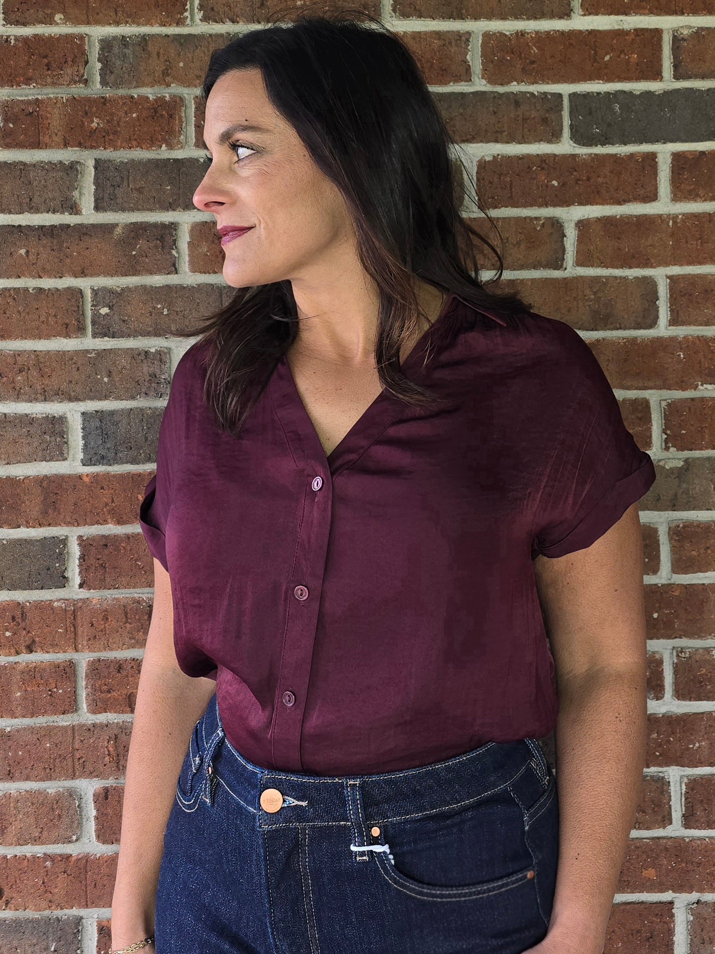 Wine Silky Short Sleeve Button Blouse