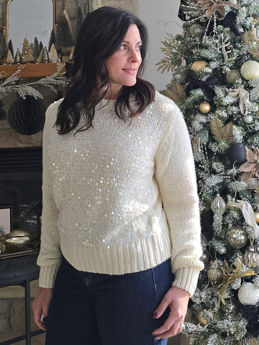 Winter White Sequin Knit Sweater
