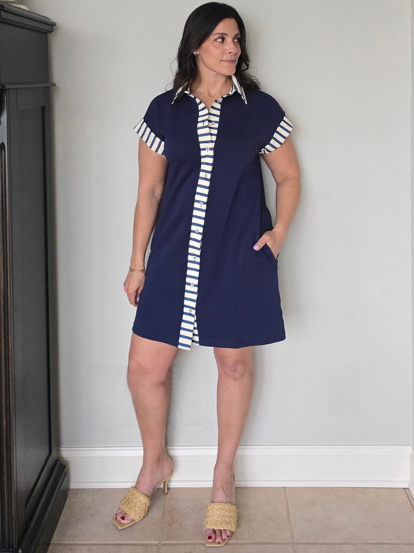Navy Collared Stripe Accent Dress